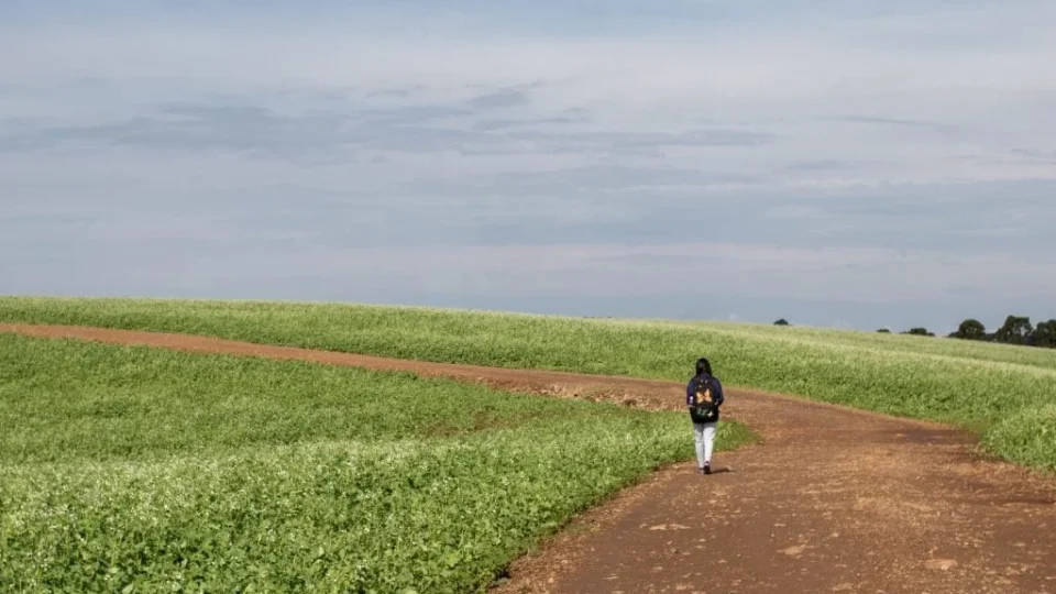 Os filhos doentes da agricultura brasileira