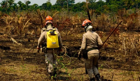 Fazenda palco de “dia do fogo” em 2022 é hoje a que tem mais queimadas no Brasil