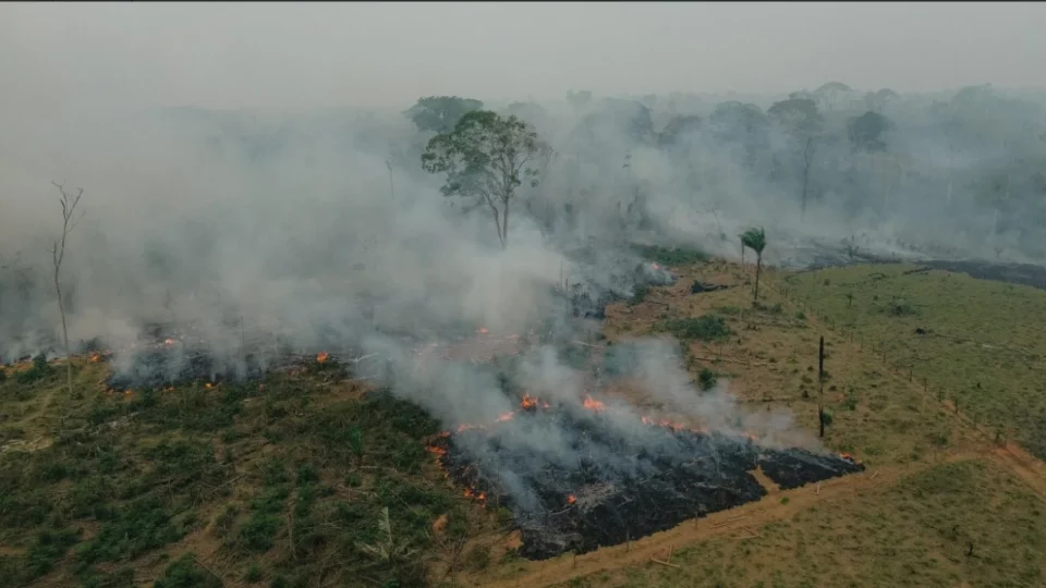 Incêndios florestais já atingem quase 20 mil hectares entre Acre e Amazonas