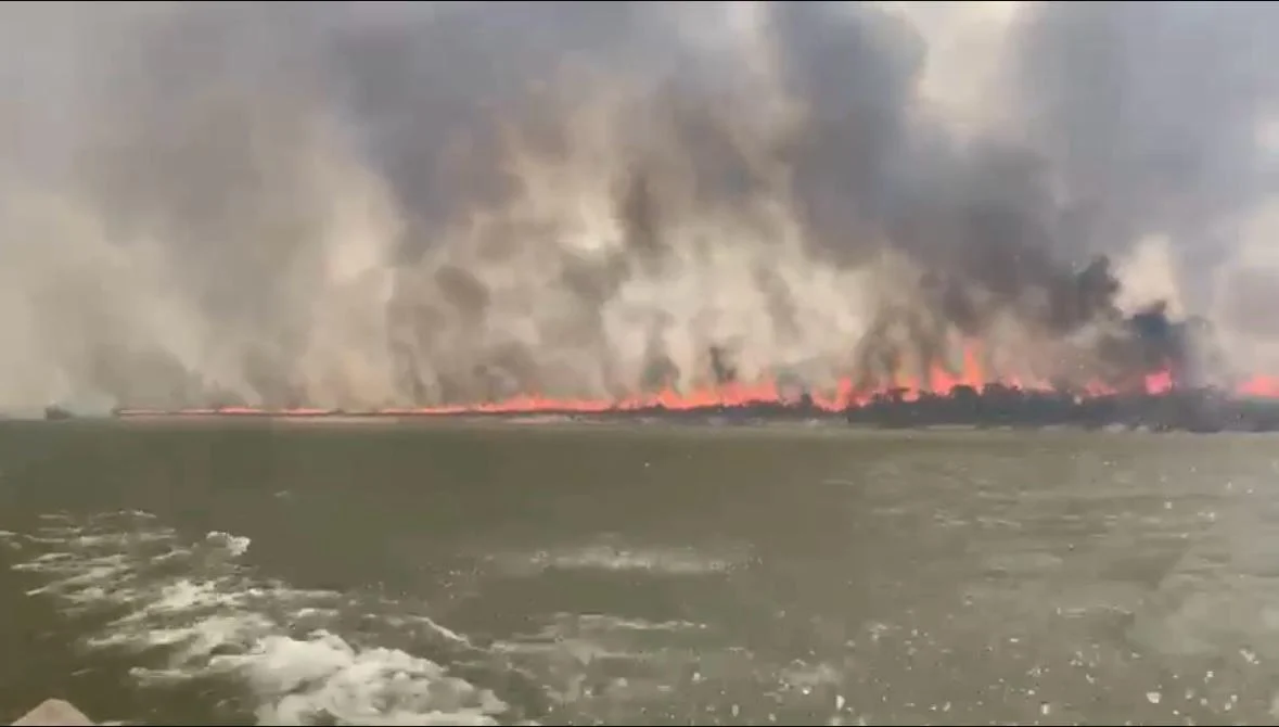 Barreira de fogo se forma durante incêndio em área do Parque Indígena Xingu