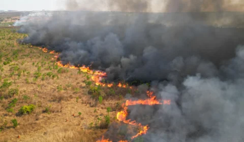 Fumaça em Brasília se aproxima da administração do Parque Nacional