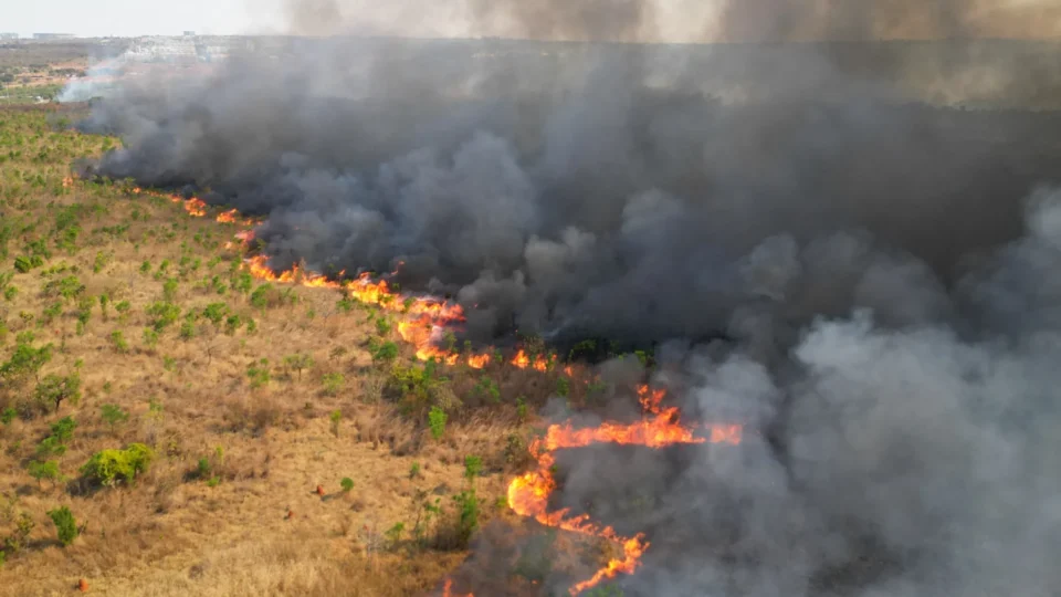 Fumaça em Brasília se aproxima da administração do Parque Nacional