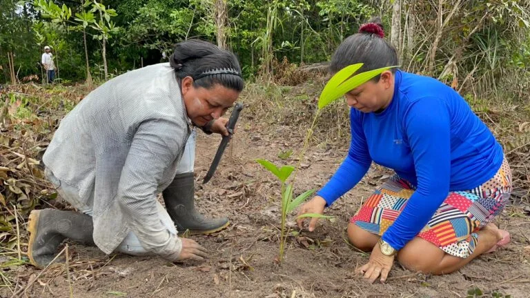 mudanças climáticas