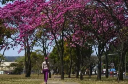 Primavera começa com ondas de calor e volta das chuvas regulares; veja a previsão