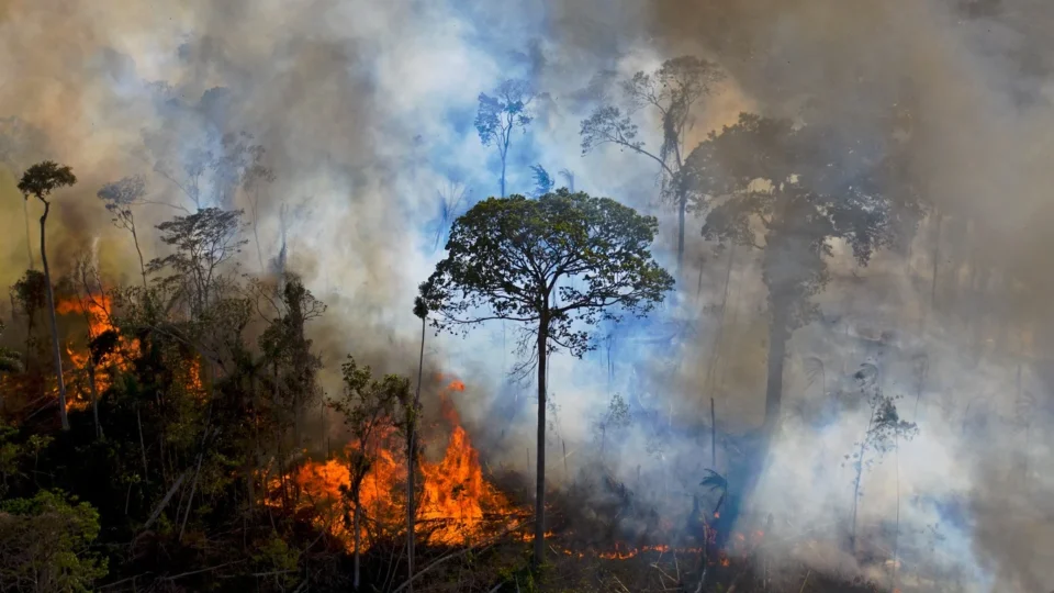 AM, MS e MT batem recorde de emissões de carbono por queimadas