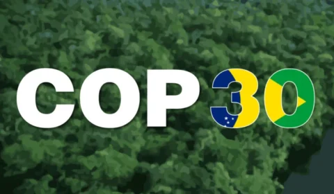 A COP 30 e os desafios ambientais do Brasil e do mundo