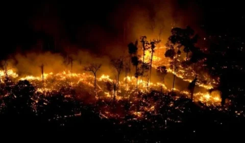 Brasil em chamas: de Norte a Sul, estados sofrem com incêndios nas matas e fumaça