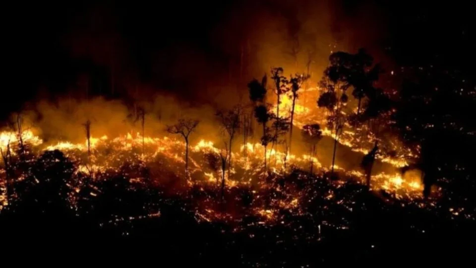 Brasil em chamas: de Norte a Sul, estados sofrem com incêndios nas matas e fumaça