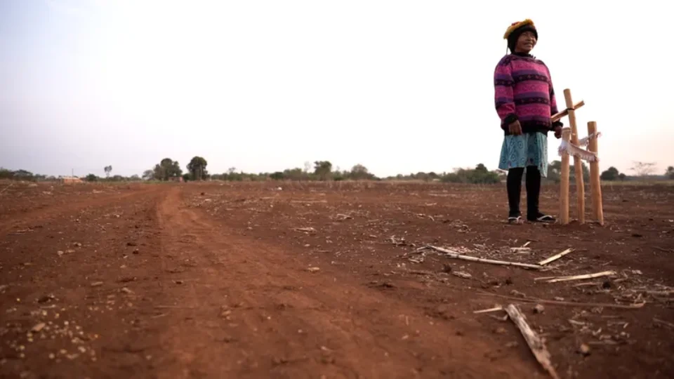 Organizações repudiam violência contra os Guarani-Kaiowá