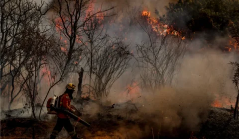 ‘O clima mudou, o Congresso também precisa mudar’, diz diretora da SOS Mata Atlântica