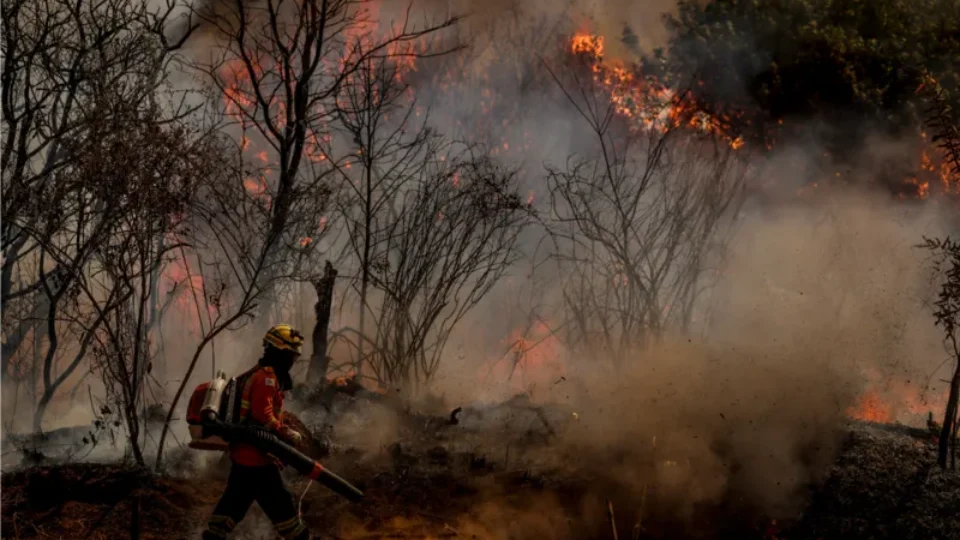 ‘O clima mudou, o Congresso também precisa mudar’, diz diretora da SOS Mata Atlântica