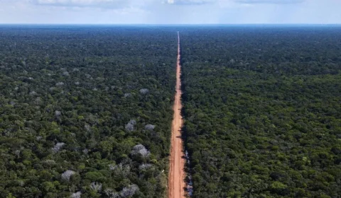 Pavimentação da BR-319 na Amazônia pode agravar crise climática