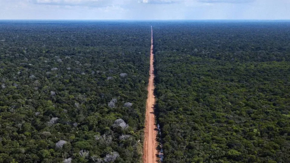 Pavimentação da BR-319 na Amazônia pode agravar crise climática