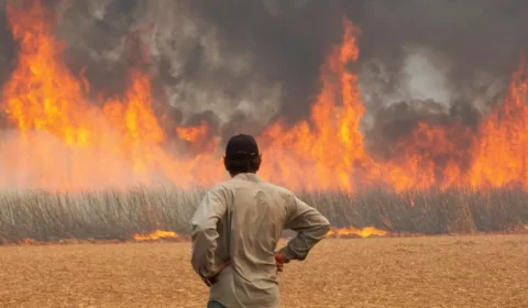 Incêndios no Brasil provocam onda de PLs sobre o tema, protocolados à distância