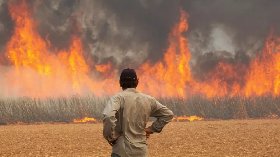 Incêndios no Brasil provocam onda de PLs sobre o tema, protocolados à distância