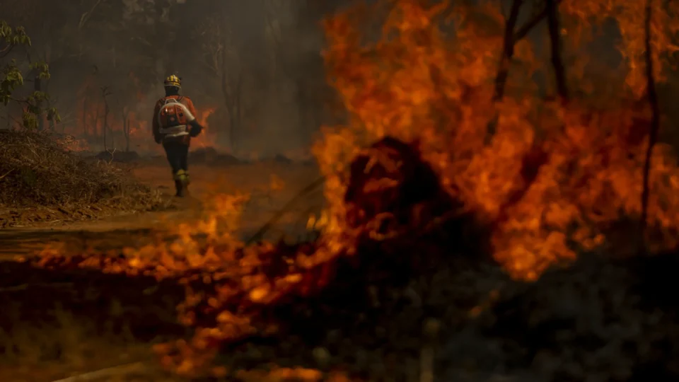 Incêndios e estiagem não devem afetar atividade econômica, mas já impactam preços de alimentos