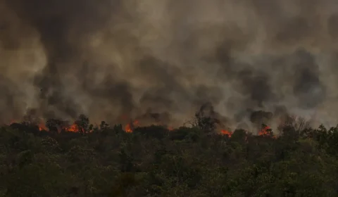 Incêndios na Amazônia e no Pantanal disparam emissões de carbono do Brasil