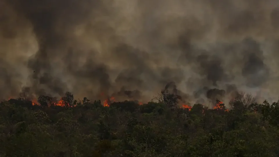 Incêndios na Amazônia e no Pantanal disparam emissões de carbono do Brasil