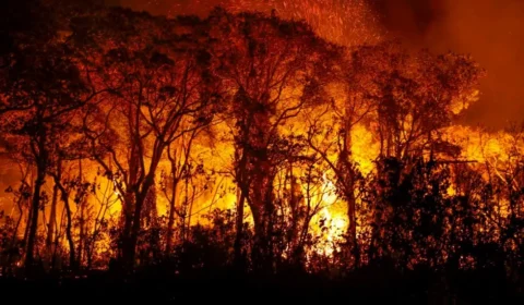 Defensoria Pública pede combate a incêndios em terras indígenas do MT