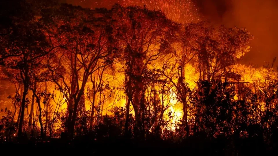 Defensoria Pública pede combate a incêndios em terras indígenas do MT