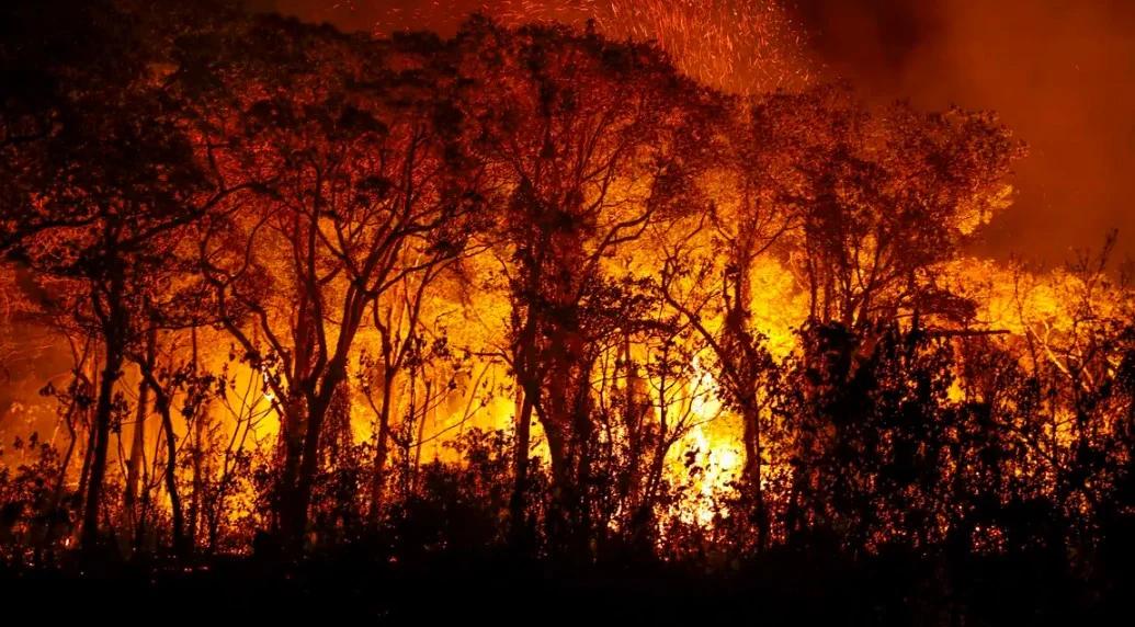 Incêndios florestais em terras indígenas