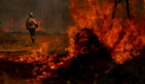 Dino determina convocação de bombeiros de outros estados para combate a queimadas