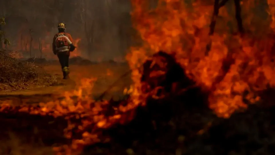 Dino determina convocação de bombeiros de outros estados para combate a queimadas