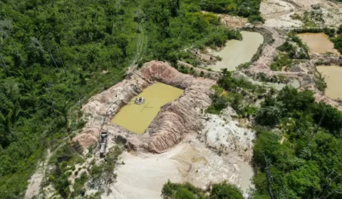 Terra Indígena Kayapó tem mais de 17% de área tomada pelo fogo