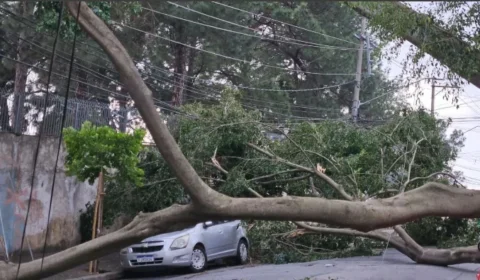 Capital e Grande São Paulo têm 1,6 milhão de moradores sem luz 14 h após temporal