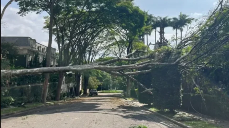 Apagão afeta distribuição de água em SP e Grande São Paulo