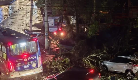 Tempestade causa apagão e uma morte em São Paulo; 3 também morrem em Bauru