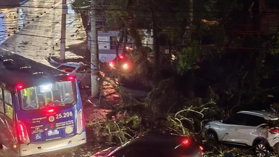 Tempestade causa apagão e uma morte em São Paulo; 3 também morrem em Bauru