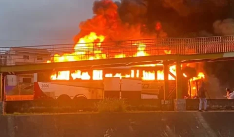 Ataque de torcedores do Palmeiras a ônibus do Cruzeiro deixa um morto e 17 feridos em SP