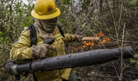 Brigadistas ganham R$ 1.412 para combater chamas no Brasil