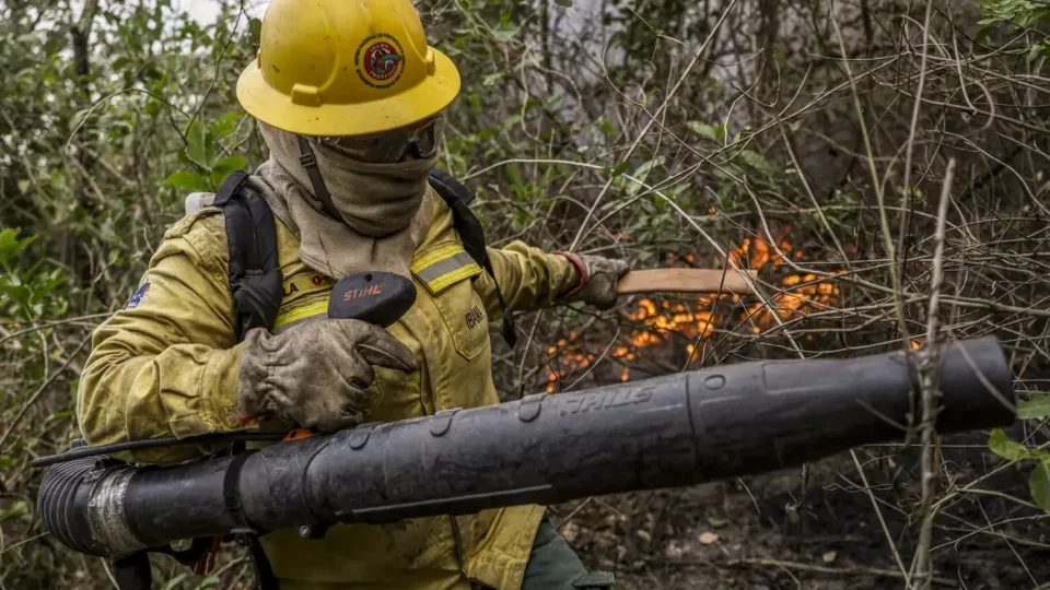 Brigadistas ganham R$ 1.412 para combater chamas no Brasil