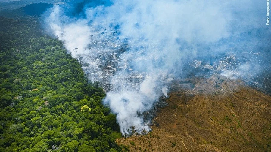 amazônia