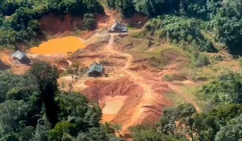 Crimes ambientais na Amazônia Legal aumentam 88%, aponta PRF