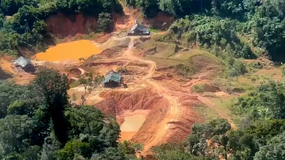 Crimes ambientais na Amazônia Legal aumentam 88%, aponta PRF