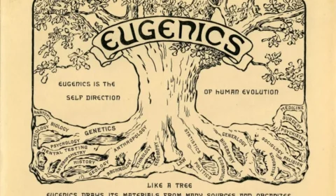 A eugenia e o legado de preconceito dessa pseudociência tão perigosa