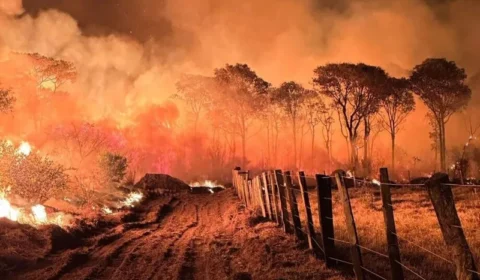 Municípios com maior rebanho bovino do Brasil são os mais incendiados em 2024