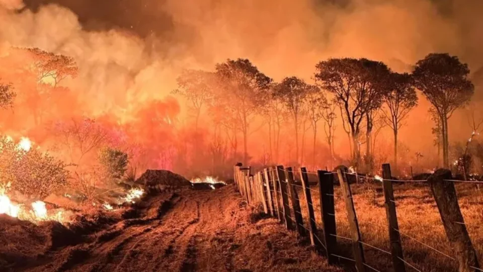 Municípios com maior rebanho bovino do Brasil são os mais incendiados em 2024