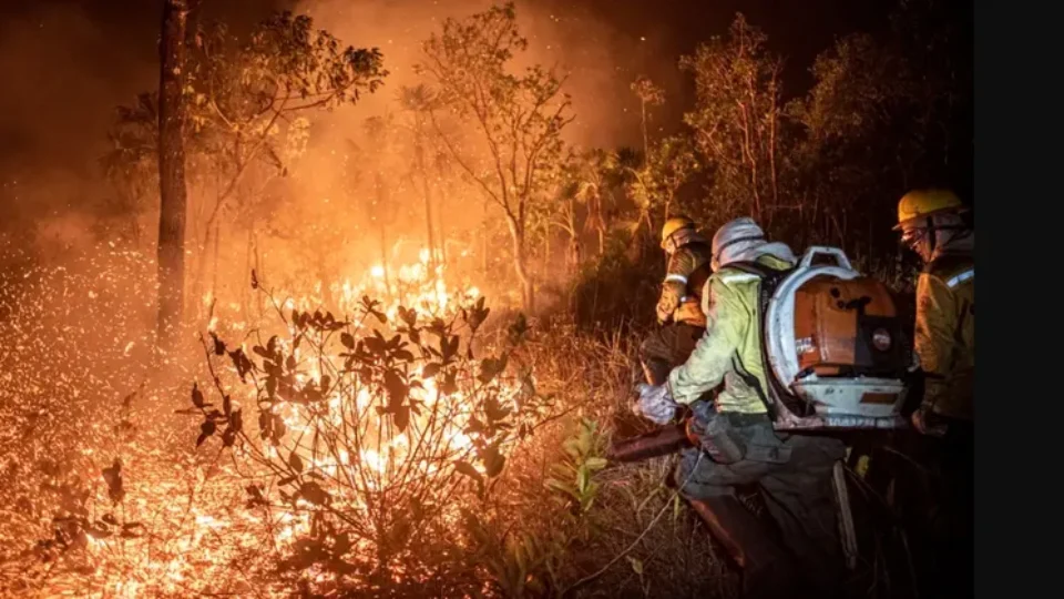 Com seca e ação humana, incêndios no Cerrado aumentam 117% em 2024