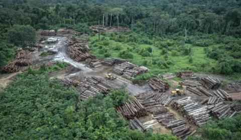 Fávaro assume demandas do agro e pressiona Fazenda por crédito a desmatadores