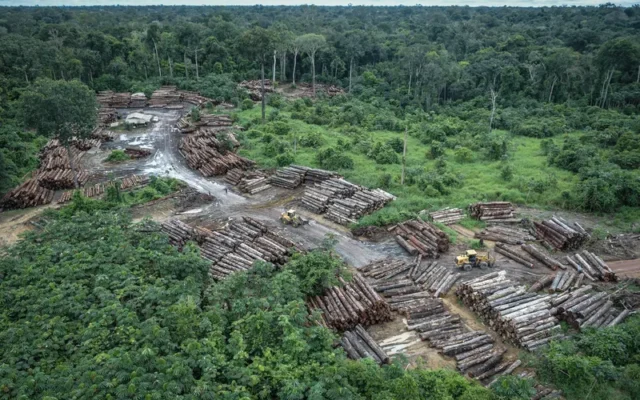 Fávaro assume demandas do agro e pressiona Fazenda por crédito a desmatadores