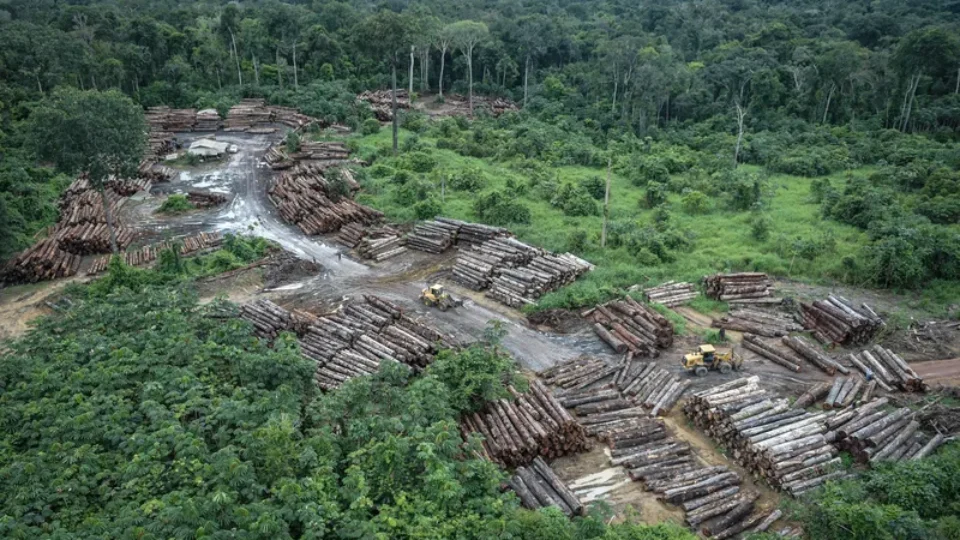 Fávaro assume demandas do agro e pressiona Fazenda por crédito a desmatadores