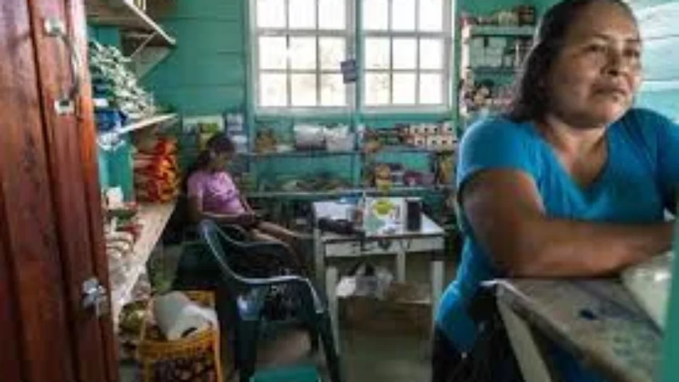 ‘Shopping na aldeia’: dólares do carbono afetam indígenas na Guiana