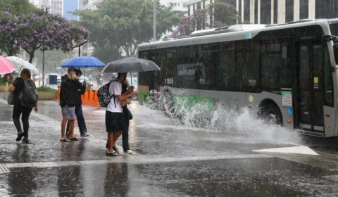 Tempo segue instável no Centro-Sul; Grande SP pode ter temporais