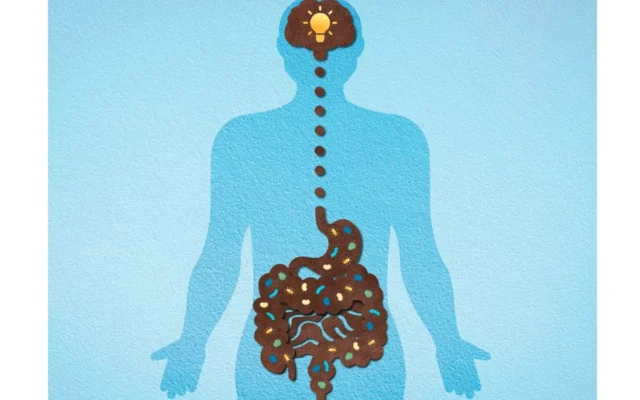 A conexão intestino-cérebro: como emoções afetam a saúde digestiva e mental