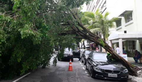 Final de semana com frente fria traz mais chuvas para o Centro-Sul do país