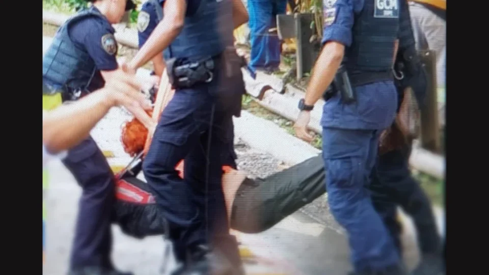 Vereadora é detida durante protesto contra derrubada de árvores em São Paulo